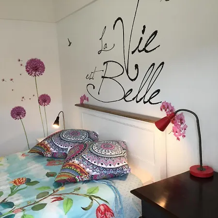 Bedinreims Elegant Bottle Quiet And Close To Center Free Parking And Wifi Free Ideal 5 A 9 Adultes Ρενς