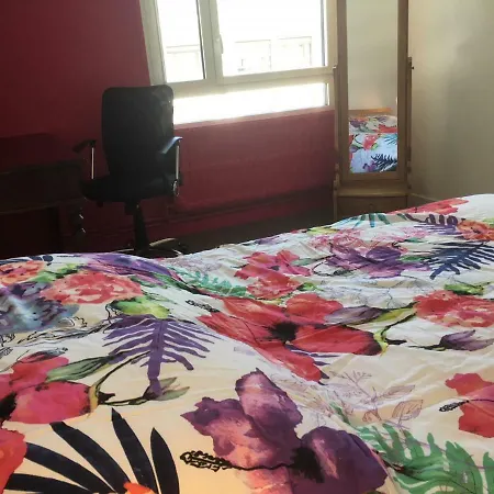 Bedinreims Elegant Bottle Quiet And Close To Center Free Parking And Wifi Free Ideal 5 A 9 Adultes *