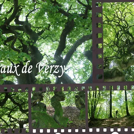 Bedinreims Elegant Bottle Quiet And Close To Center Free Parking And Wifi Free Ideal 5 A 9 Adultes Διαμέρισμα Ρενς