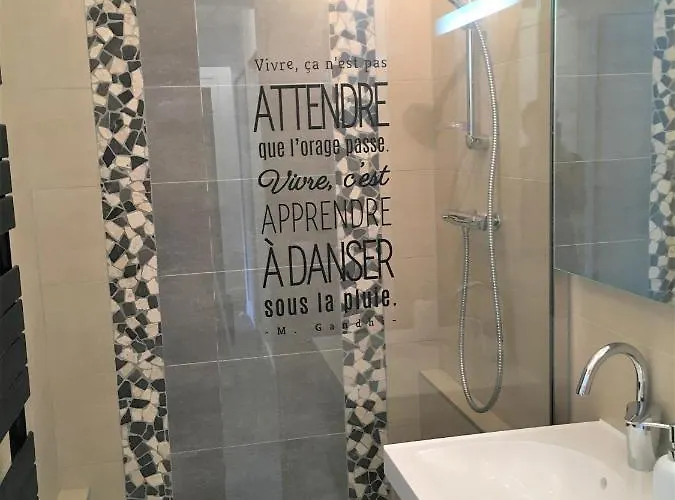 Bedinreims Elegant Bottle Quiet And Close To Center Free Parking And Wifi Free Ideal 5 A 9 Adultes Apartment *