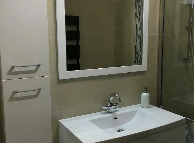 Bedinreims Elegant Bottle Quiet And Close To Center Free Parking And Wifi Free Ideal 5 A 9 Adultes Apartment *