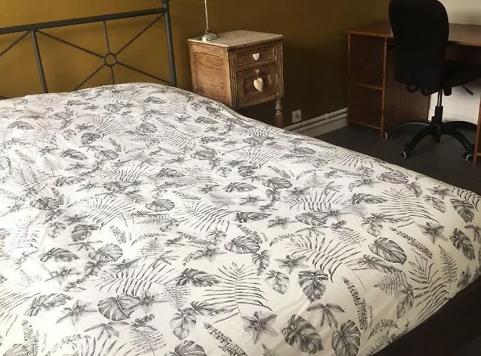 Apartment Bedinreims Elegant Bottle Quiet And Close To Center Free Parking And Wifi Free Ideal 5 A 9 Adultes Reims