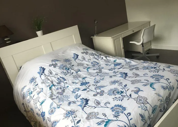 Apartment Bedinreims Elegant Bottle Quiet And Close To Center Free Parking And Wifi Free Ideal 5 A 9 Adultes *