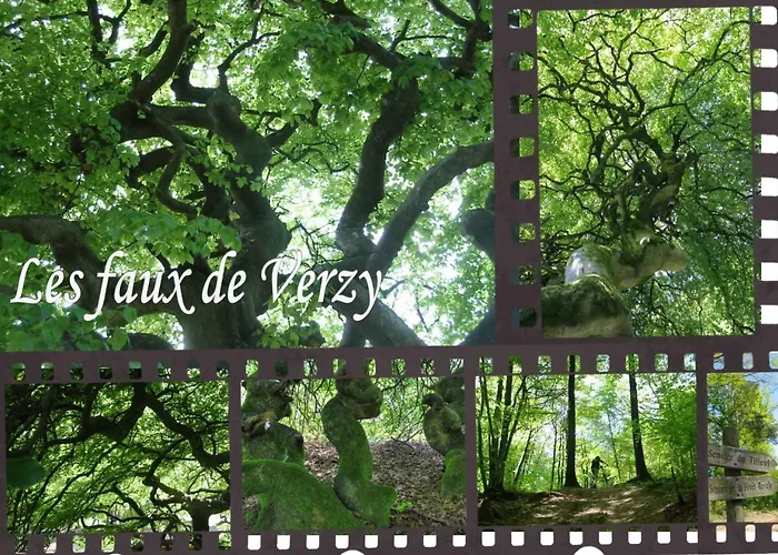 Bedinreims Elegant Bottle Quiet And Close To Center Free Parking And Wifi Free Ideal 5 A 9 Adultes Apartment Reims